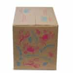 Printed-Mailing-Bags-Boxes-7