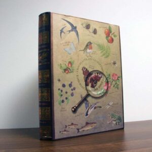 guilbert-book-box