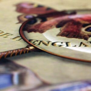 guilbert-book-box-cu