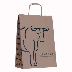 Brown Paper Carrier with Twisted Paper Handle(320mm) HGW UK
